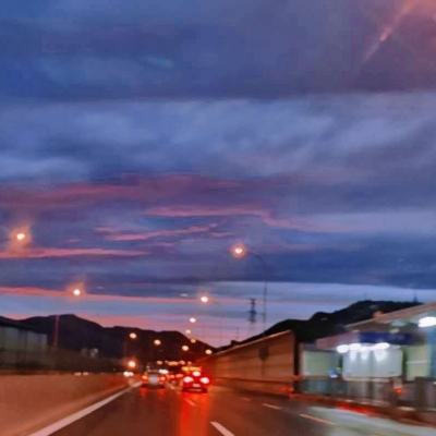 不要死dont die下载