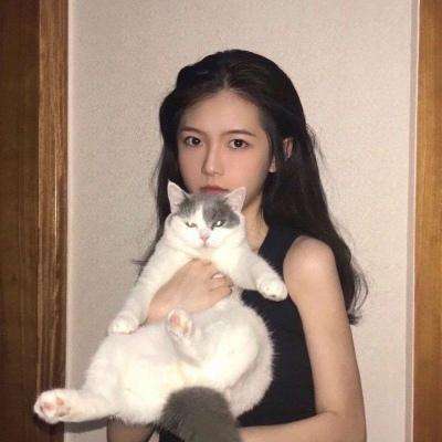 三国龙翔传内购破解版下载